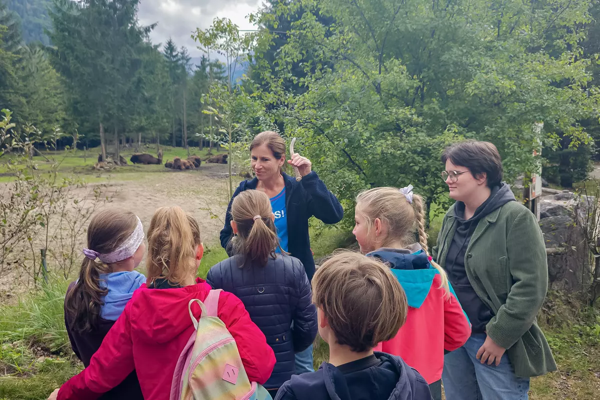 Guide zeigt Kindern Horn