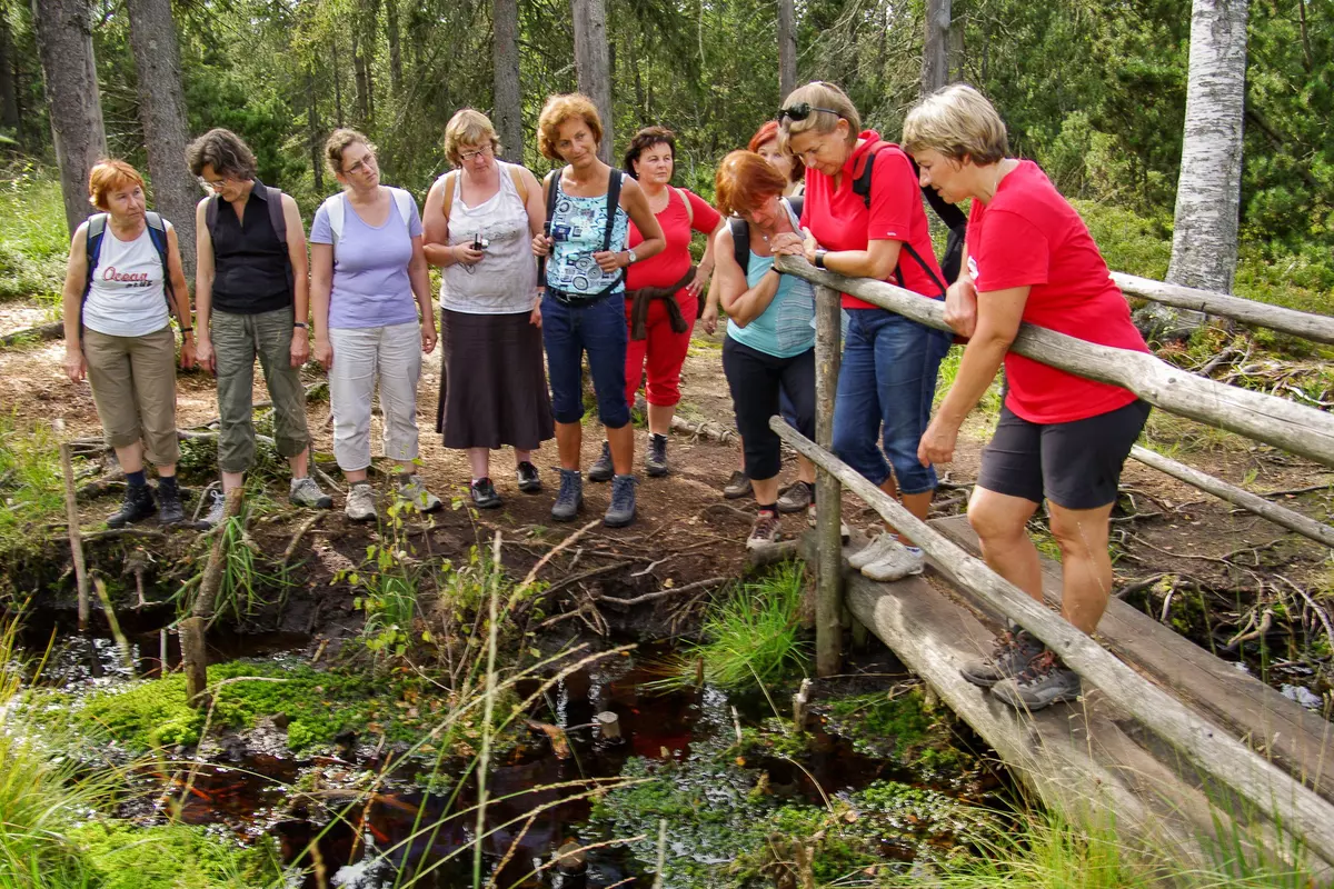 Frauengruppe auf Holzsteg am Bachlauf