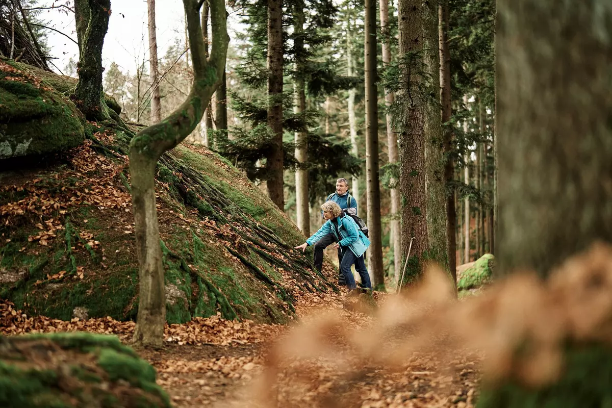 Teilnehmer erforschen Waldboden