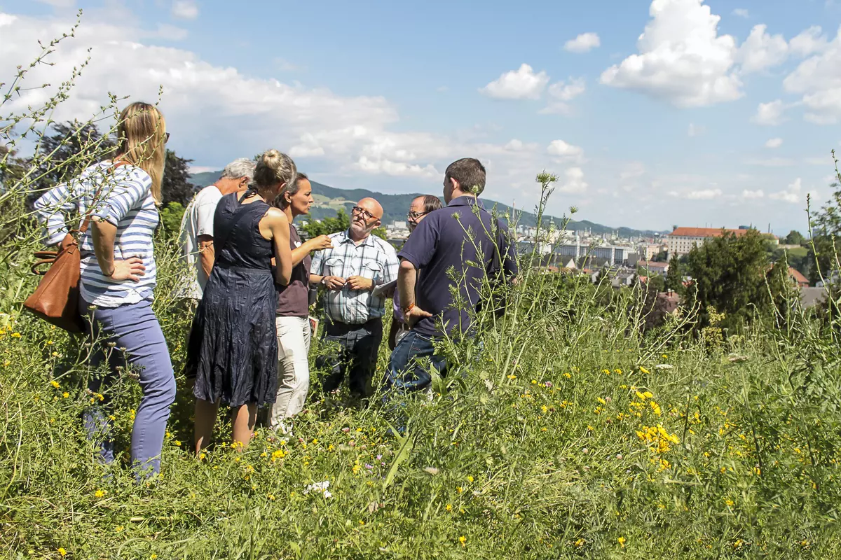 NATURSCHAUSPIEL-Tour in Linz