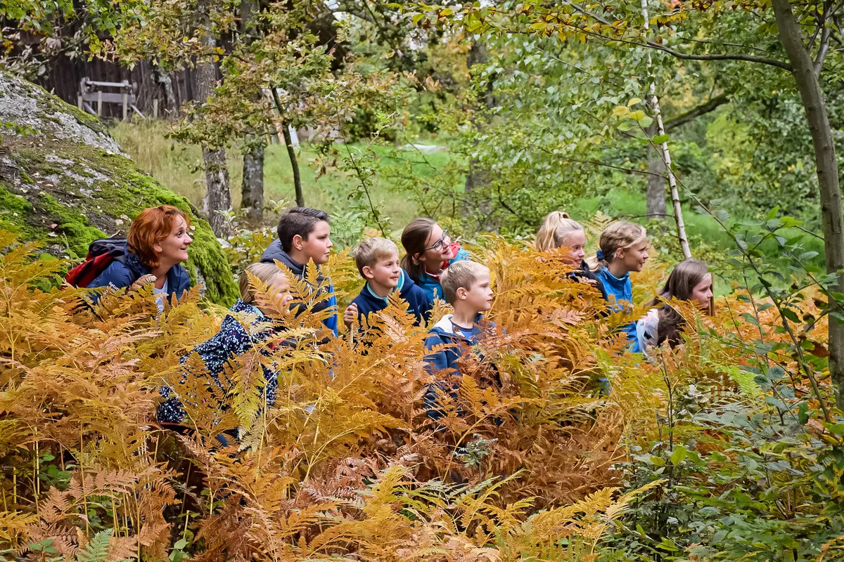 Kindergruppe im hohen Farn