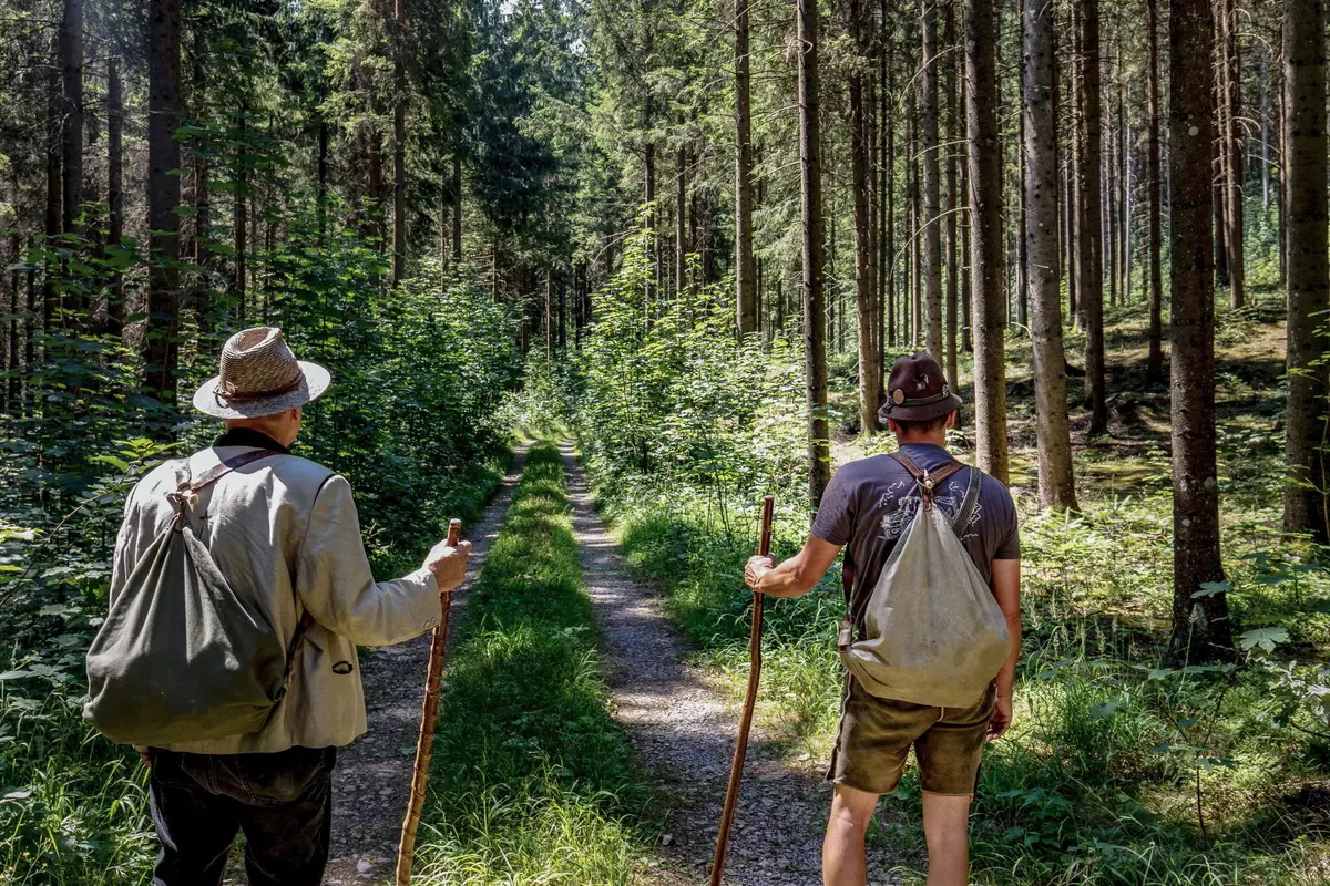 2 Förster im Wald