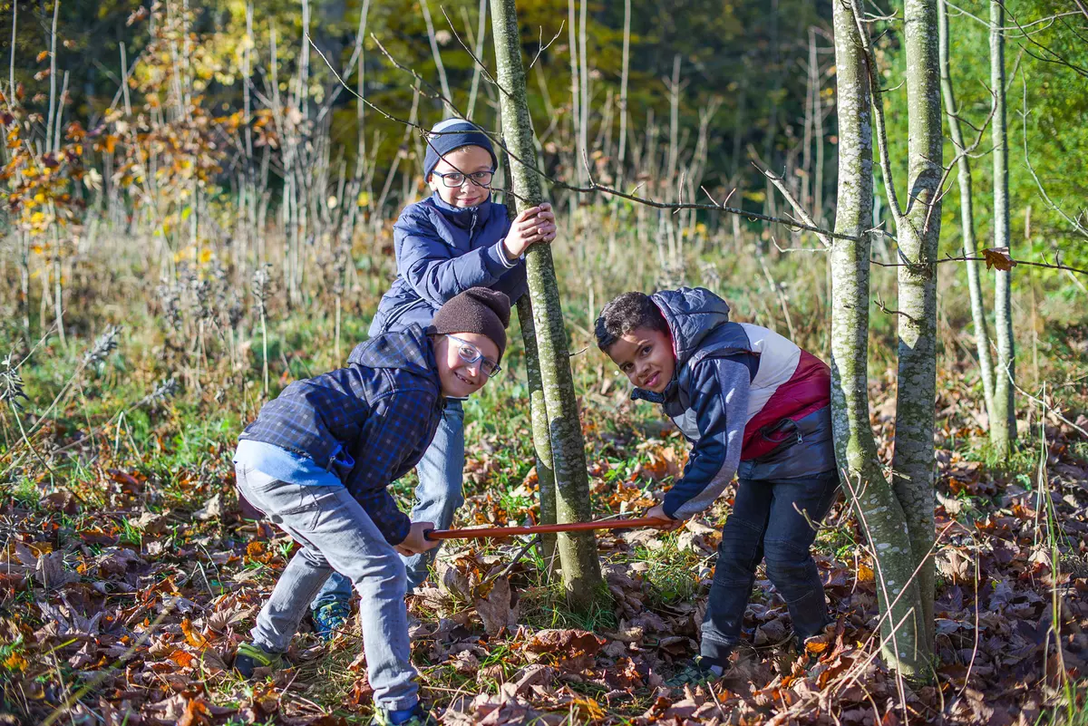 Kindergruppe mit Säge bei Baum
