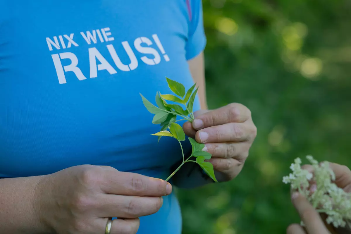 Guide mit Giersch