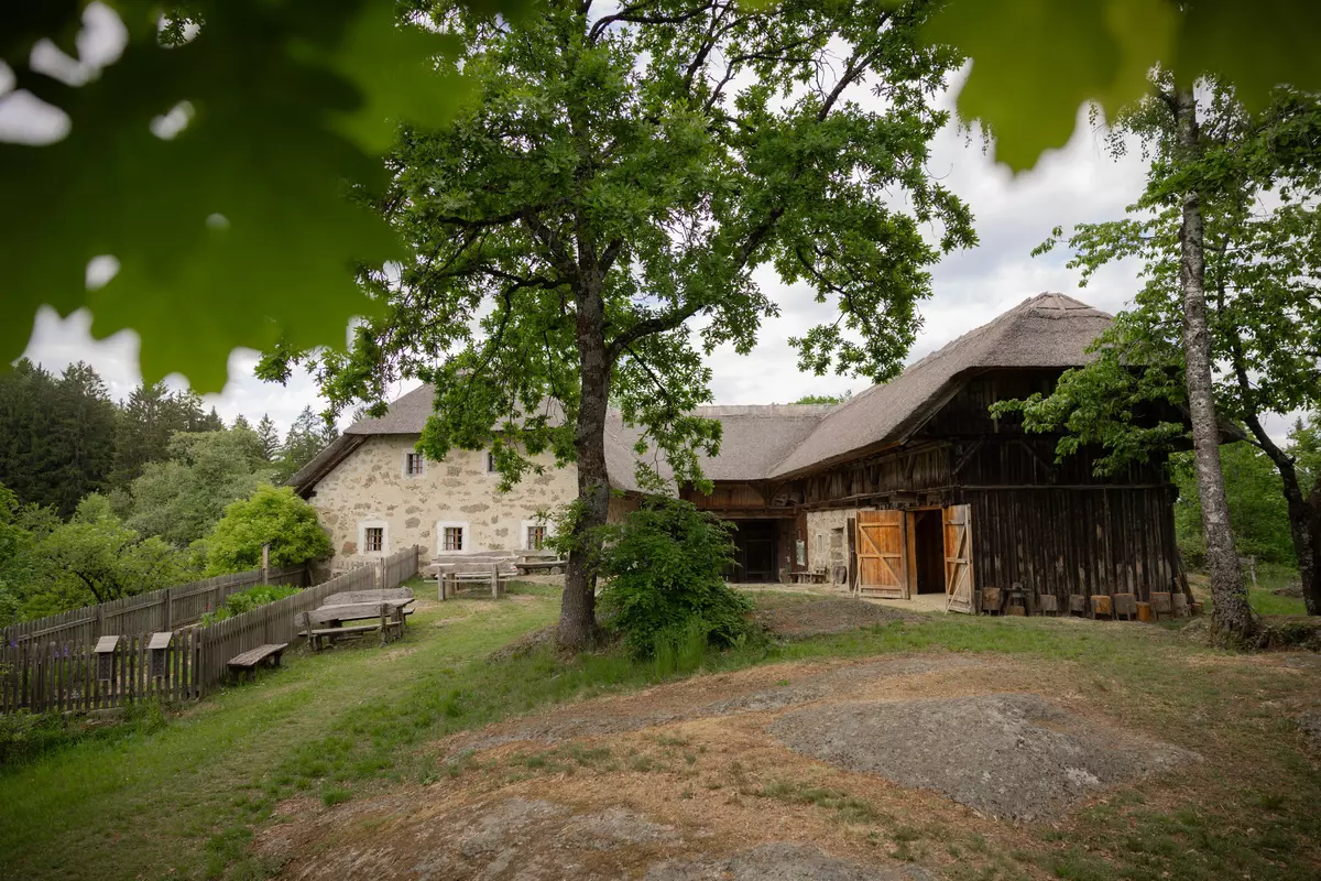Bauernhof mit Wiese und Wald 