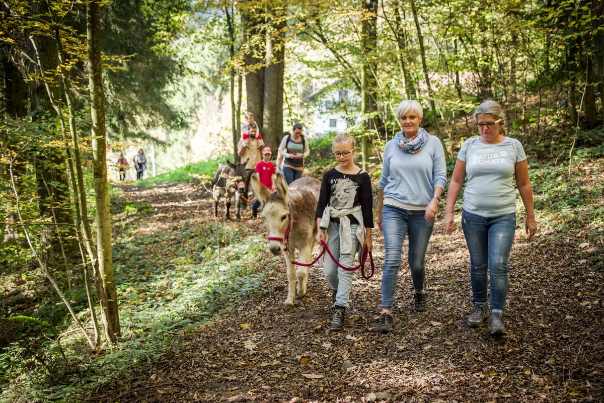Guides mit Kindern und Esel