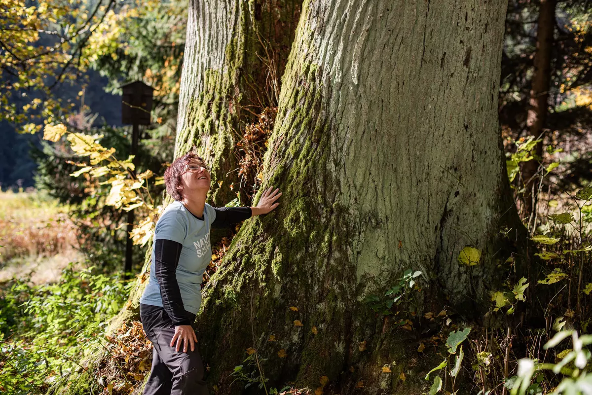 Weiblicher Guide steht am Fuße eines großen Laubbaumes