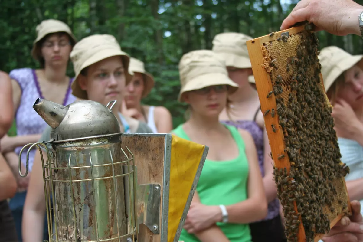 Guide zeigt den Schüler:innen einen Bienenwabe