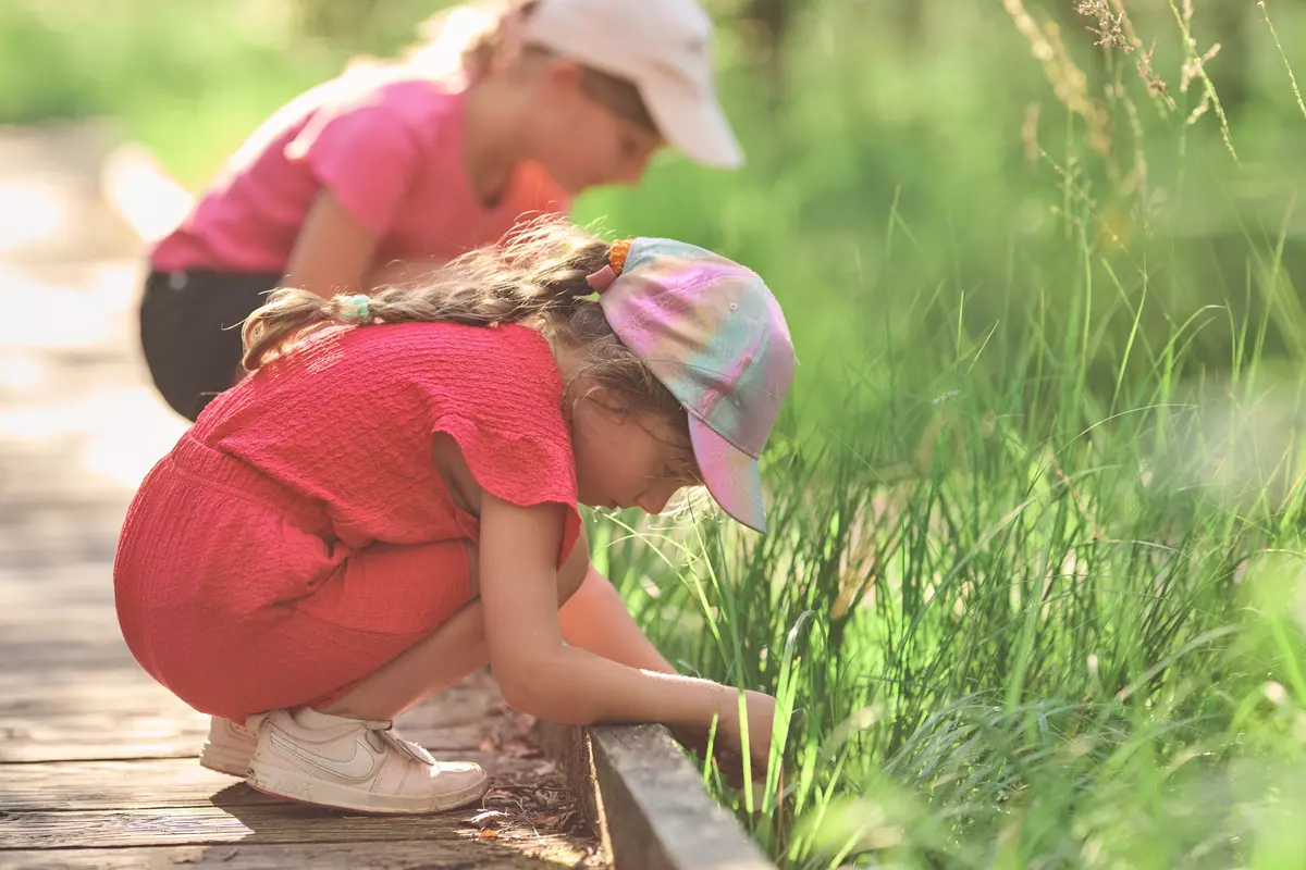 Kinder untersuchen das Moor