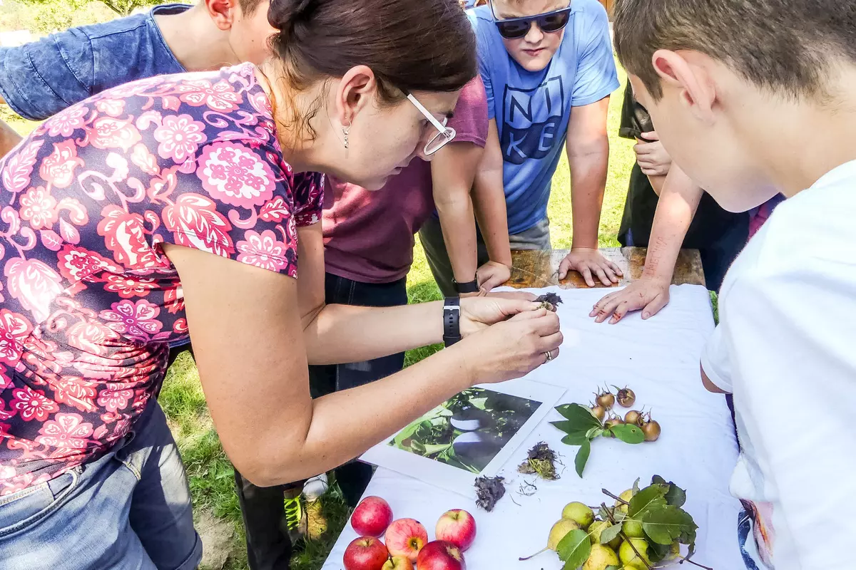 Guide mit Gruppe rund um Tisch mit Obst und Kräutern
