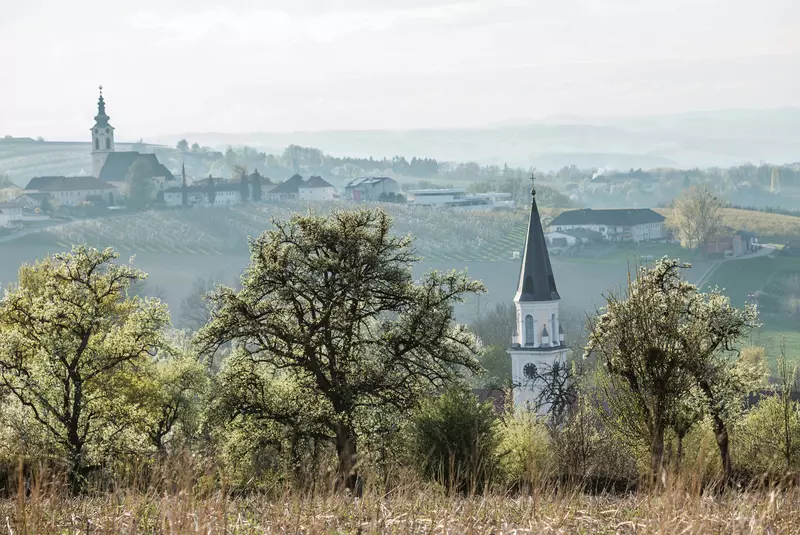 Hügelige Landschaft mit Kirche, Bäumen und hohem Gras im Sonnenuntergang