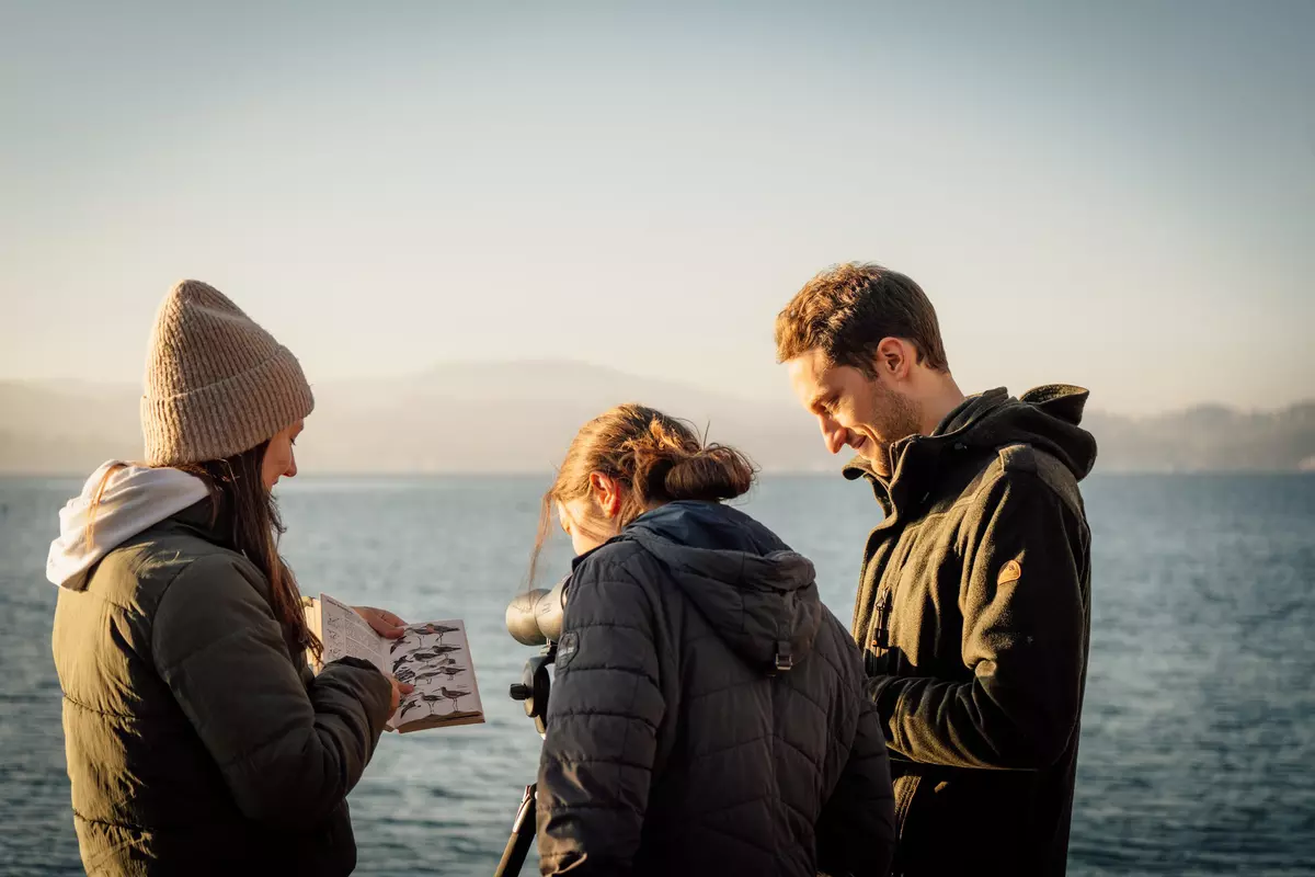 Gruppe mit Bestimmungsbuch und Fernglas am Ufer des Attersees