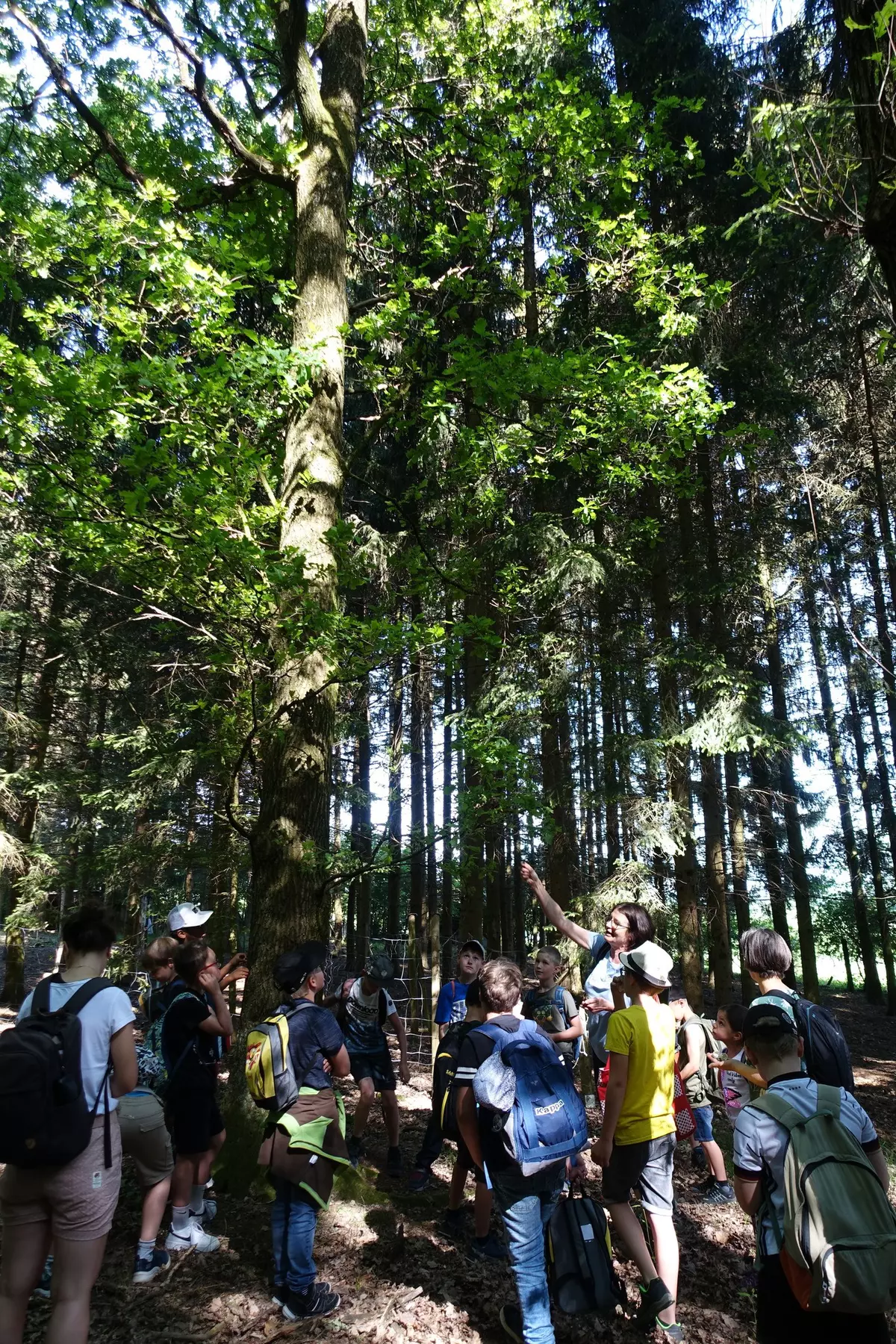 Schülergruppe im Wald