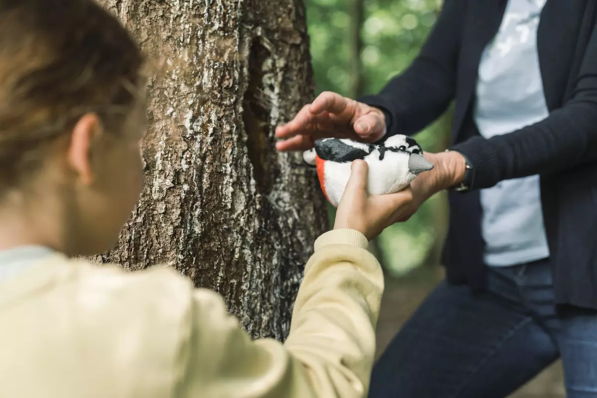 Eine Erwachsene gibt einem Kind ein Buntspecht-Plüschtier bei einem Baum im Wald
