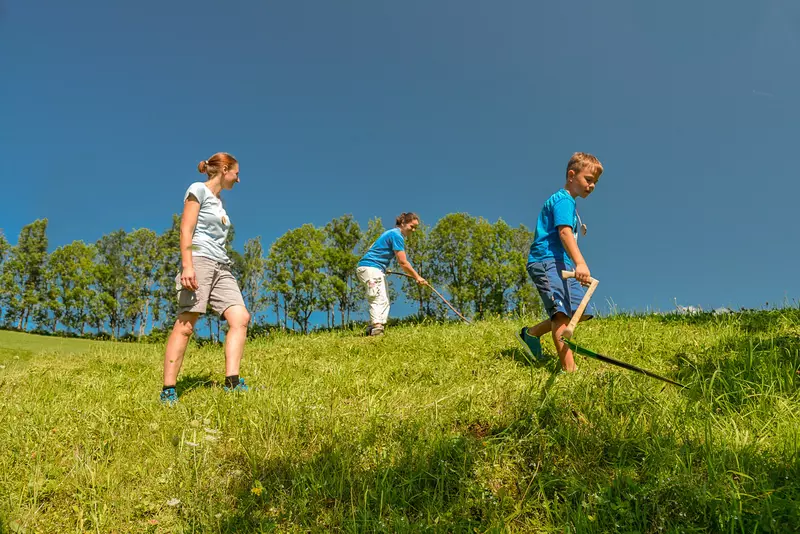Der Guide zeigt zwei Kindern das Mähen mit Sense.