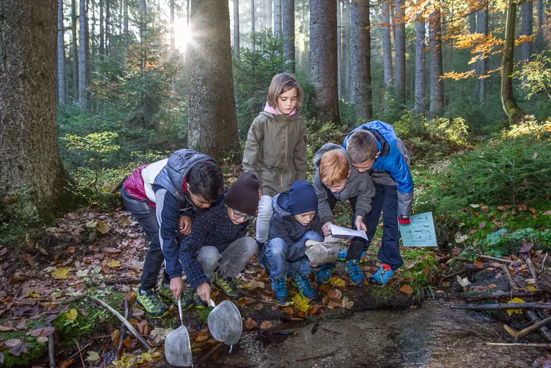Gruppe von Kindern mit Kescher entlang Bach im Wald