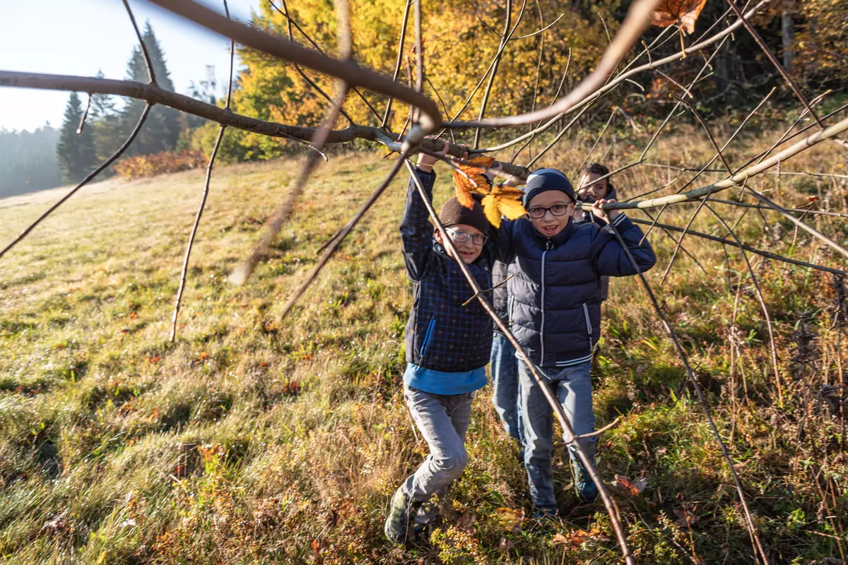 Kinder tragen Baum